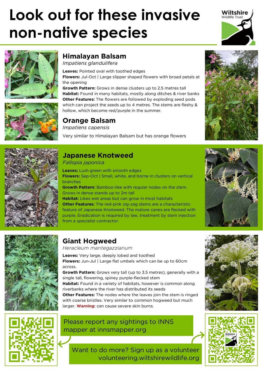 INNS poster 2.0 1000